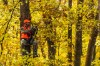 Load image into Gallery viewer, Browning Blaze Orange Safety Vest