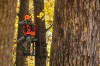 Load image into Gallery viewer, Browning Blaze Orange Safety Vest