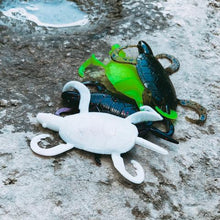 Load image into Gallery viewer, Doomzdna Turtle