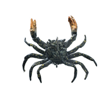 Load image into Gallery viewer, ChaseBaits Crusty Crab