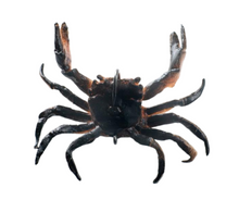Load image into Gallery viewer, ChaseBaits Crusty Crab