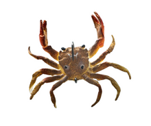 Load image into Gallery viewer, ChaseBaits Crusty Crab