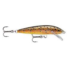 Load image into Gallery viewer, Rapala Original Floating F-5