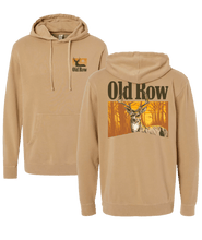 Load image into Gallery viewer, Old Row Hoodie
