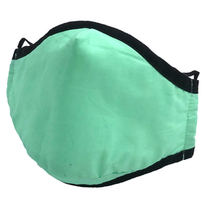 Fashion Face Mask