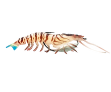 Load image into Gallery viewer, ChaseBaits Flick Prawn Heavy

