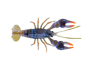 ChaseBaits The MudBug