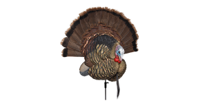 Avian Trophy Tom Decoy