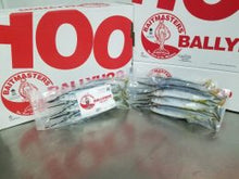 Load image into Gallery viewer, Ballyhoo Frozen Bait
