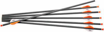 Center Point Carbon Crossbow Bolts, 6-Pack, 20